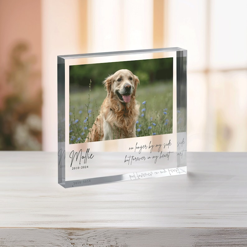 Personalized Pet Memorial Plaque, Photo Pet Memorial Gift, Pet Loss Keepsake, Pet Memorial Photo Plaque, Dog Cat Pet Memorial Gifts - Etsy